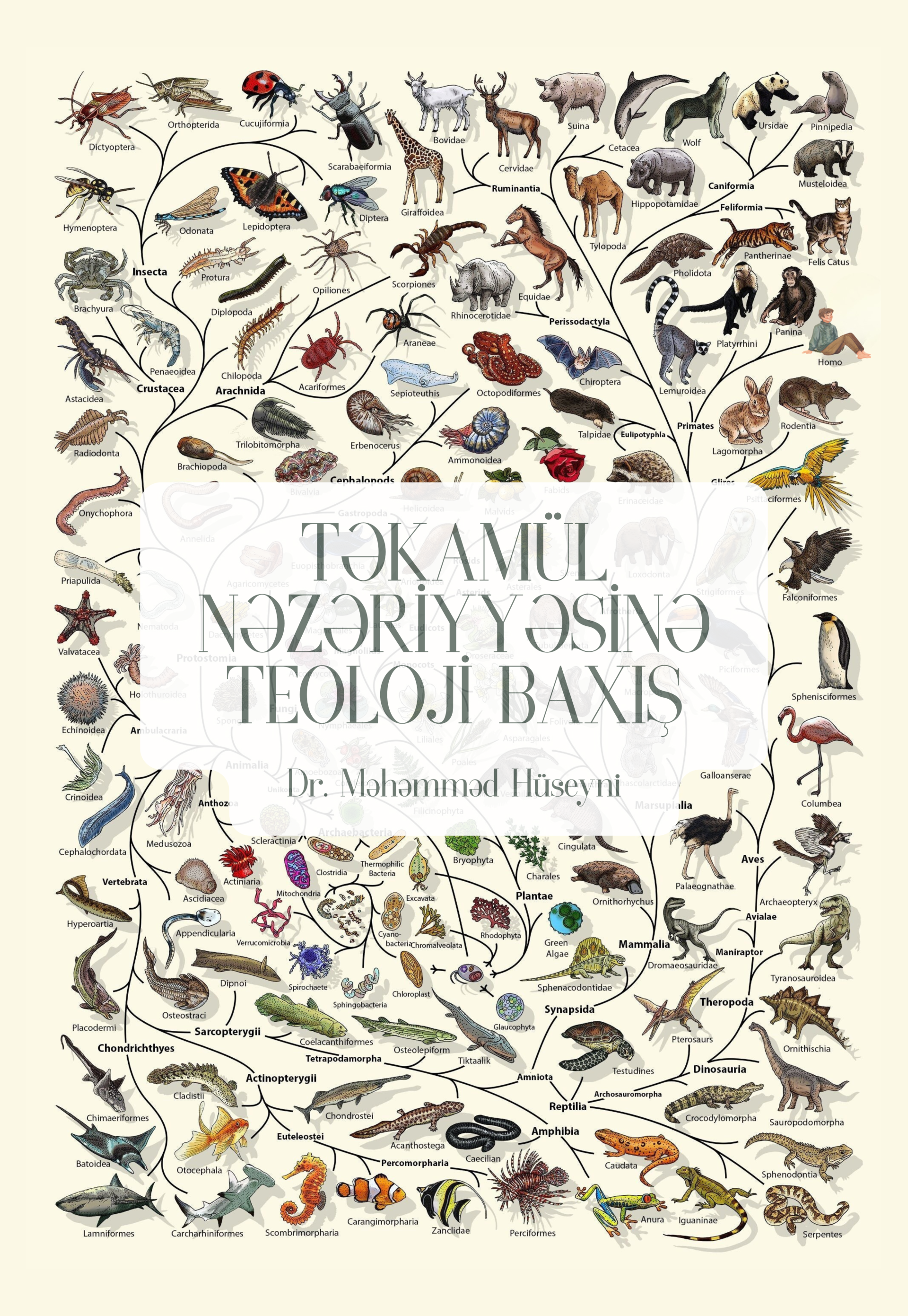 Təkamül nəzəriyyəsinə teoloji baxış